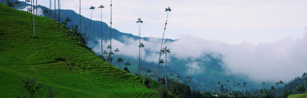 Cocora Valley (Salento, Colombia)